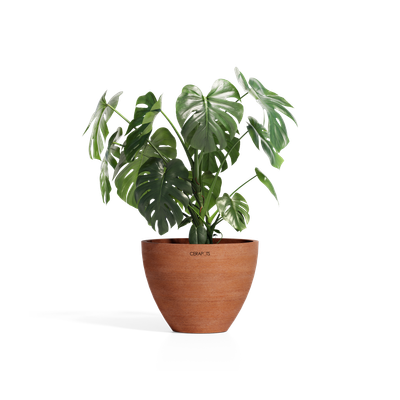 Cerapots Durin 41 Antique