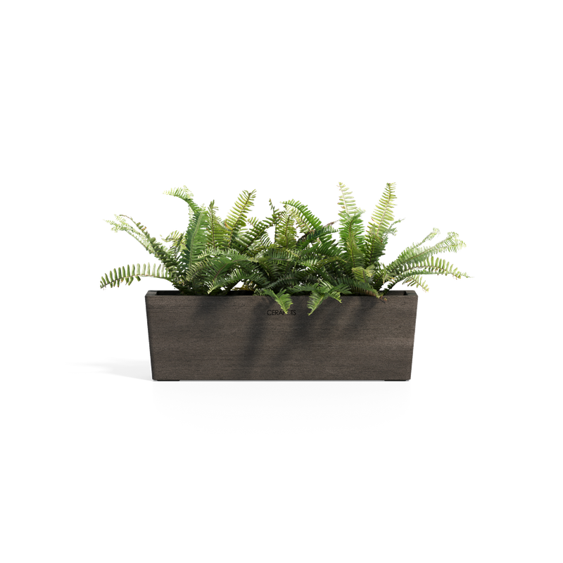 Cerapots Kavaa 50 Sepia