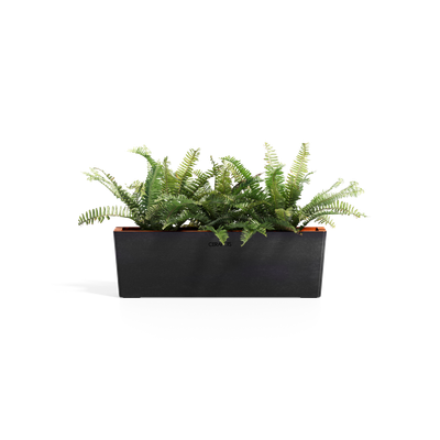 Cerapots Kavaa 50 Midnight