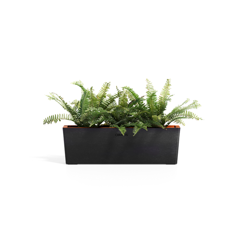 Cerapots Kavaa 50 Midnight