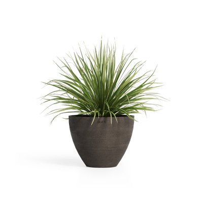 Cerapots Durin 52 Sepia