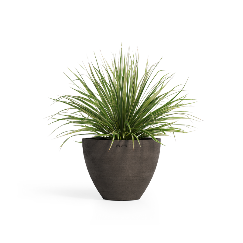 Cerapots Durin 52 Sepia