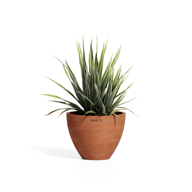 Cerapots Durin 17 Antique