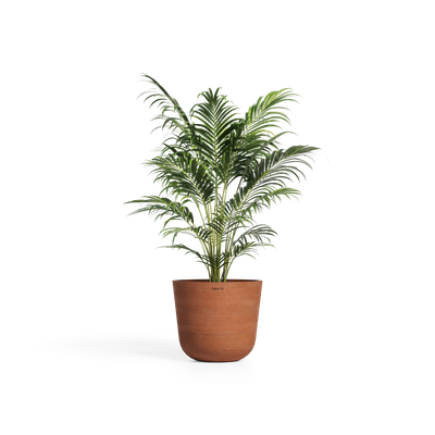 Cerapots Bolin 45 Antique