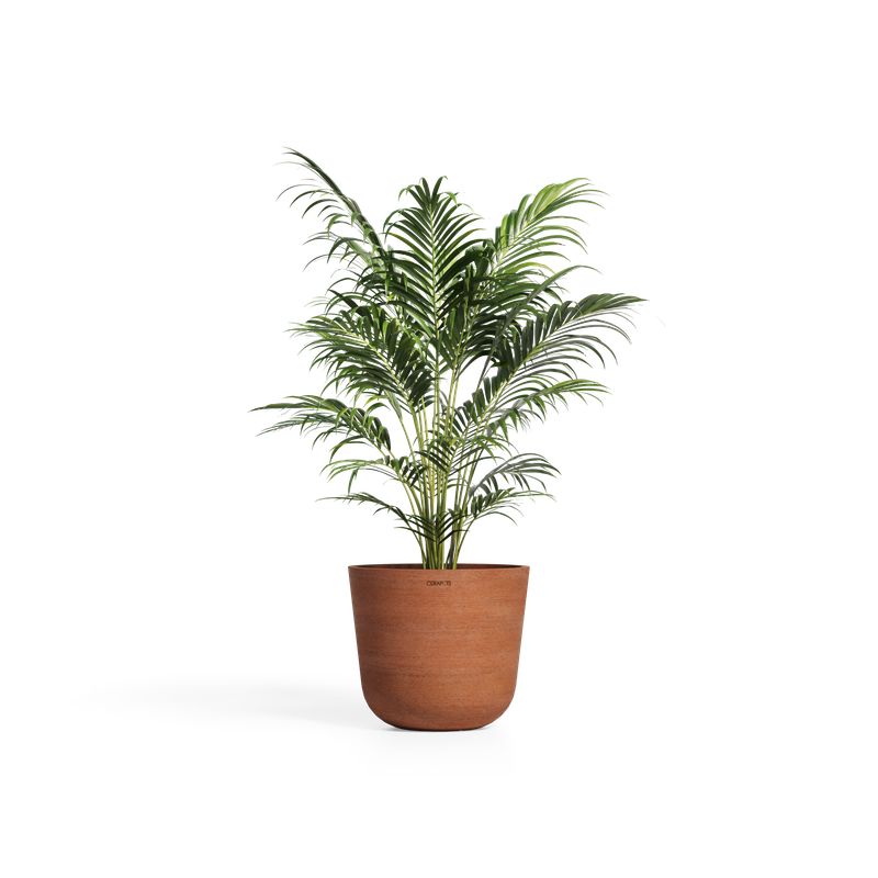 Cerapots Bolin 45 Antique