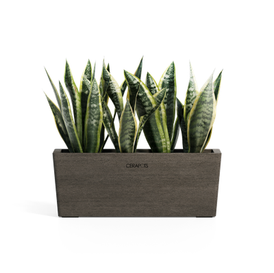 Cerapots Kavaa 40 Sepia