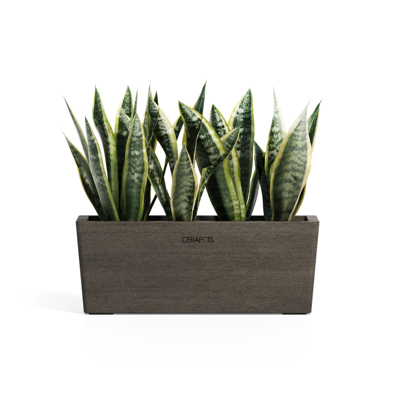 Cerapots Kavaa 40 Sepia