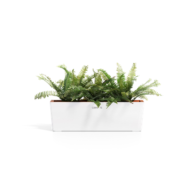 Cerapots Kavaa 50 Pearl