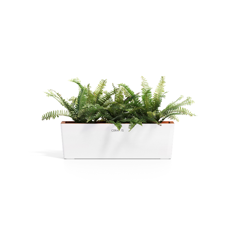 Cerapots Kavaa 50 Pearl