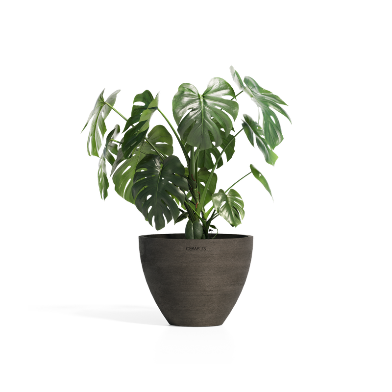 Cerapots Durin 41 Sepia