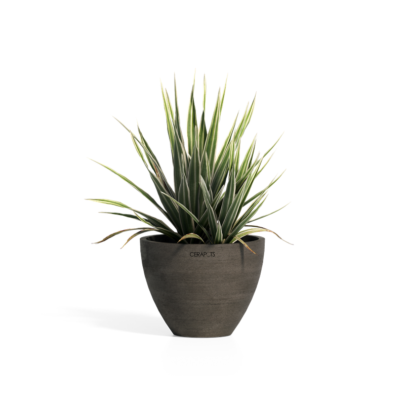 Cerapots Durin 17 Sepia