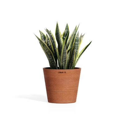 Cerapots Onku 25 Antique