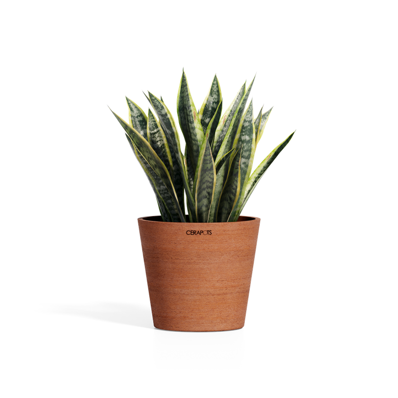 Cerapots Onku 25 Antique