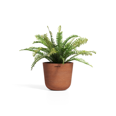 Cerapots Bolin 25 Antique