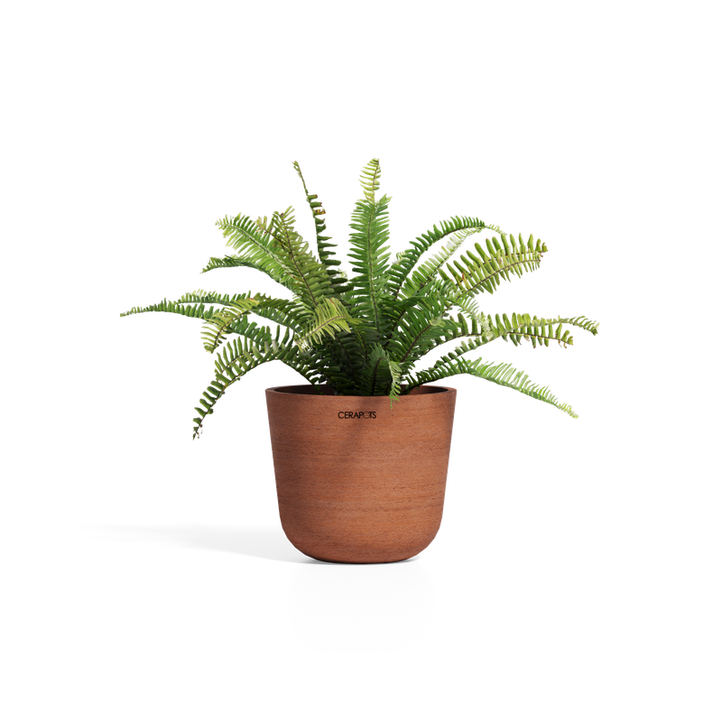 Cerapots Bolin 25 Antique