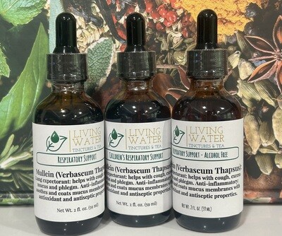 Mullein Tinctures