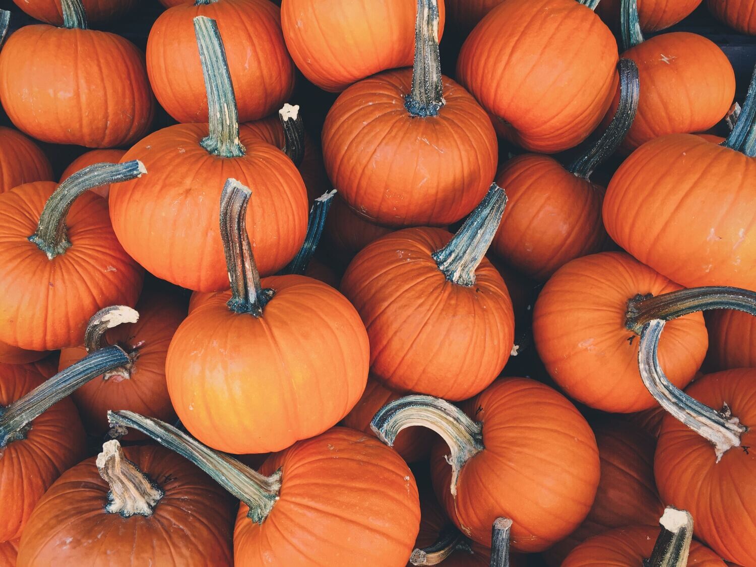pumpkin- red dot