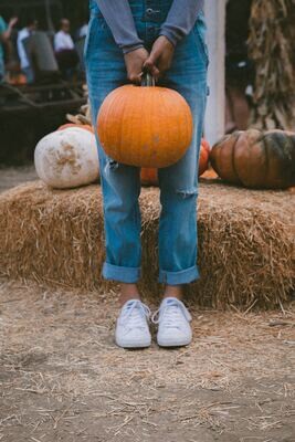 pumpkin- purple dot