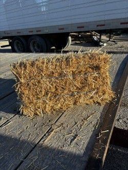 Mini Straw Bale
