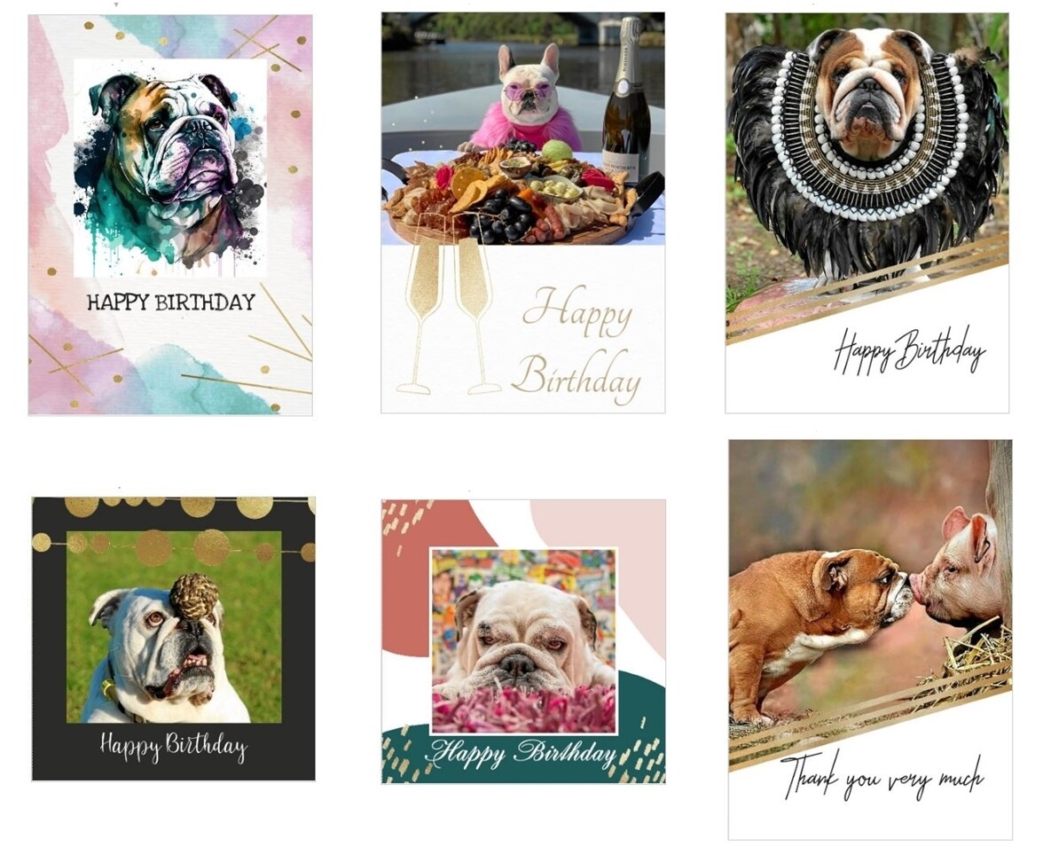 Bulldog Birthday &amp; Thank U Card Pack