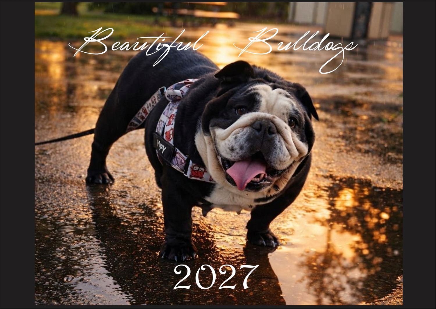 2027 Beautiful Bulldog Wall Calendar