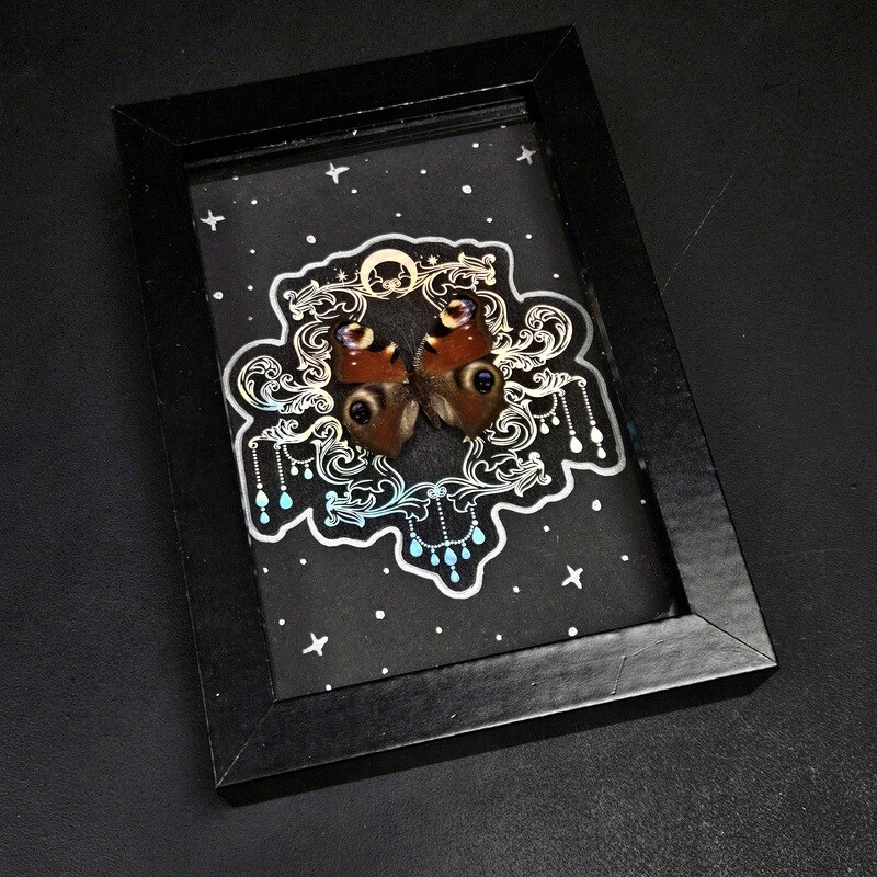 Paon du jour cosmic