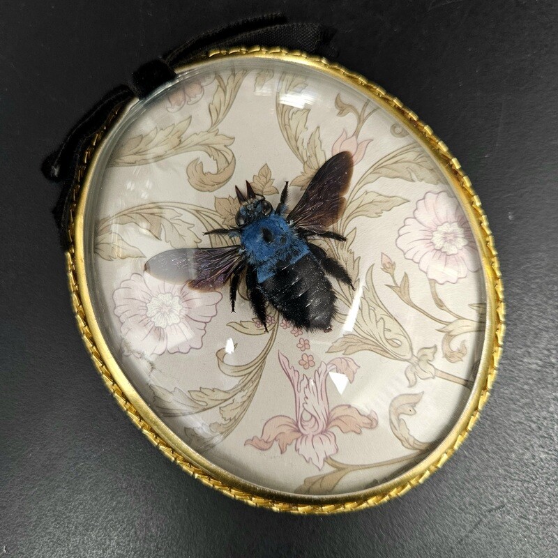 Petit cadre abeille bleue