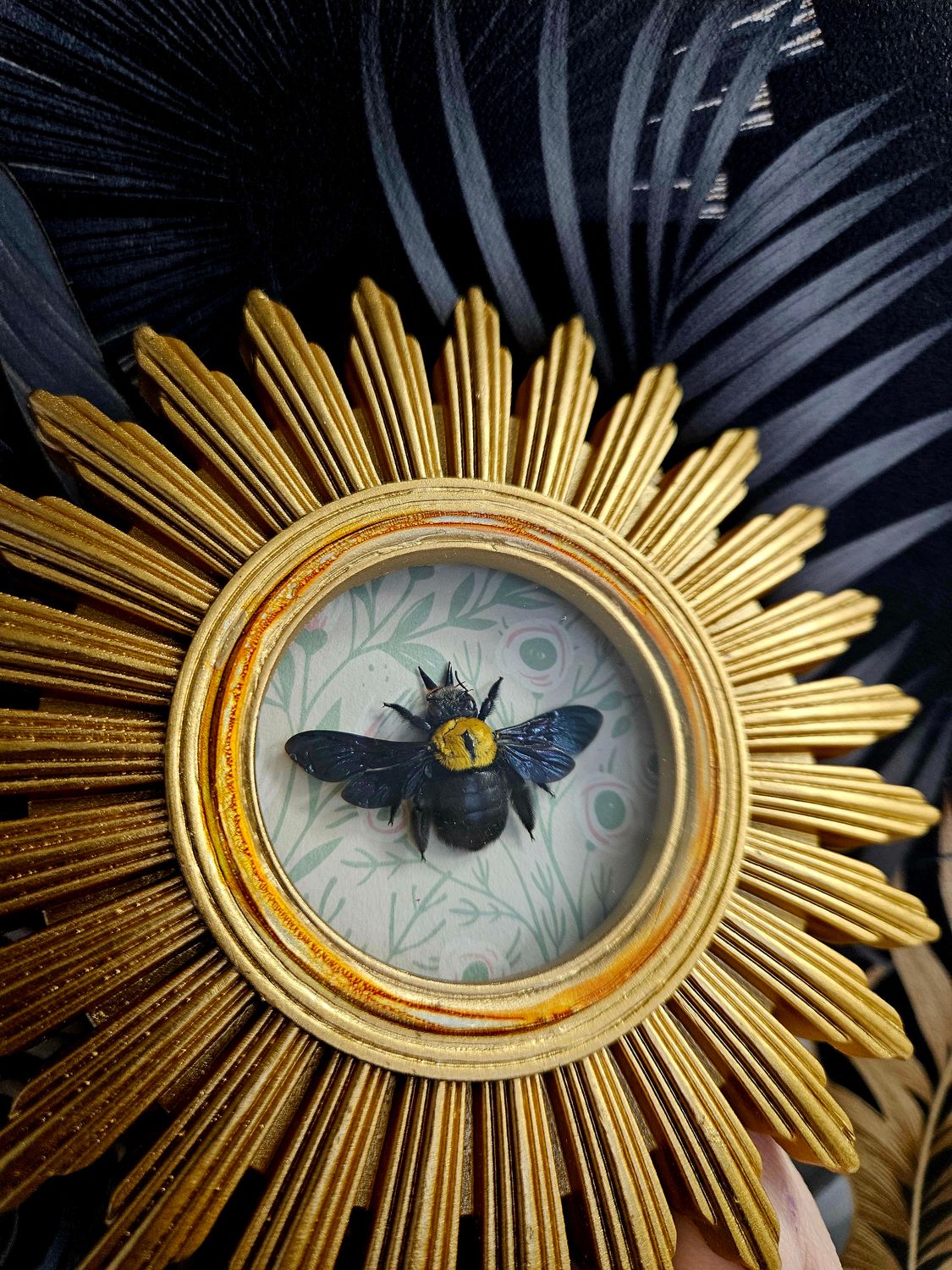 Cadre soleil abeille jaune