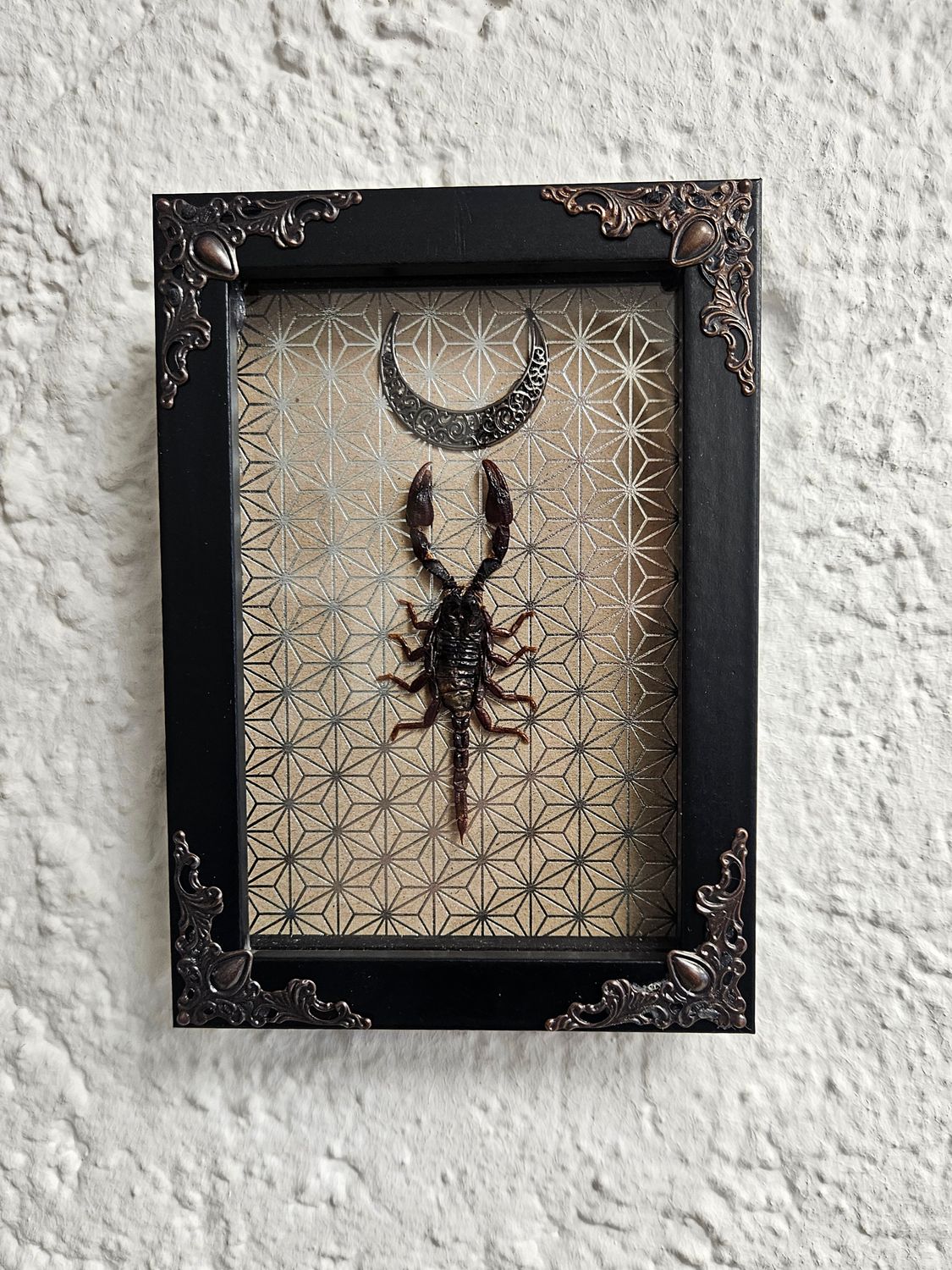 Small scorpio