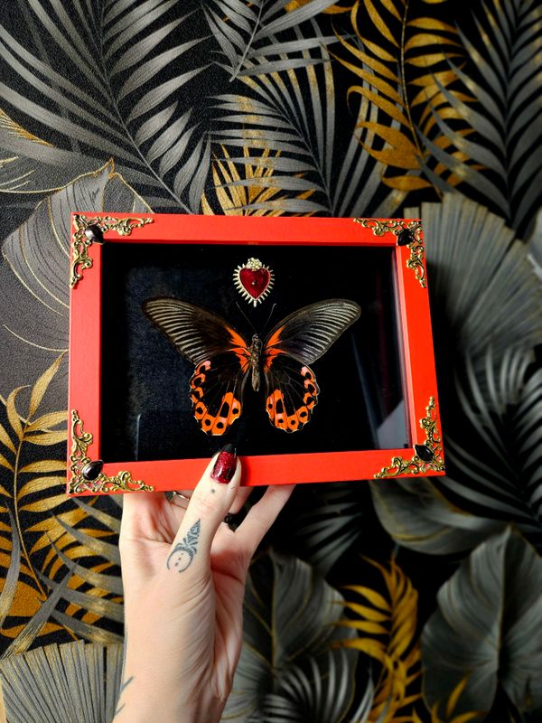 Rouge et noir