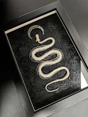 Snake