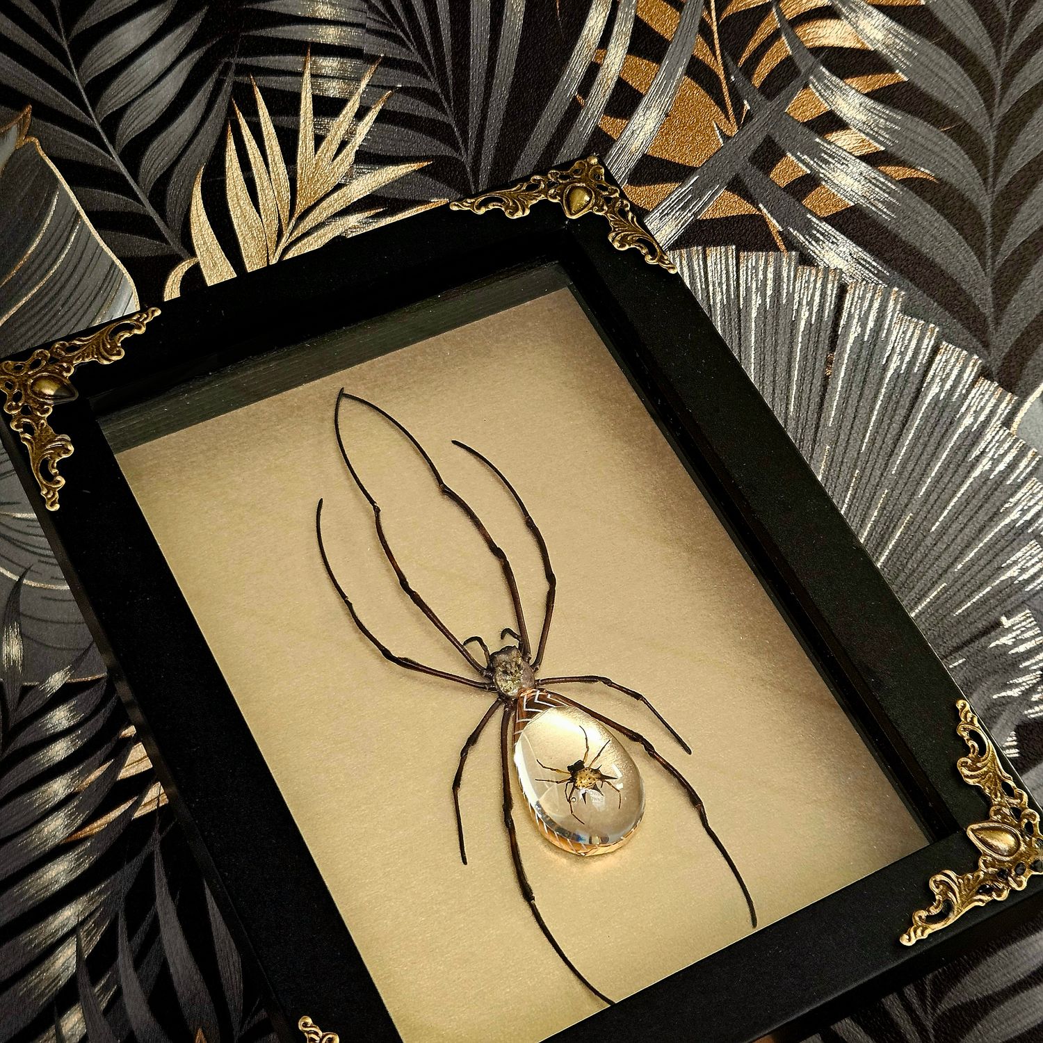Cristal spider