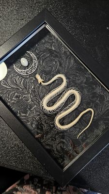 Snake