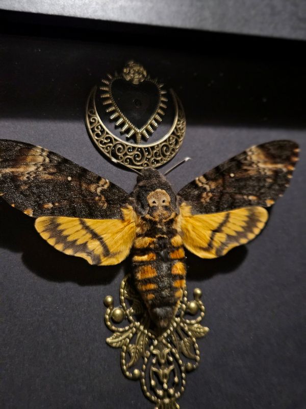 Cadre sphinx cœur de lune sacrée