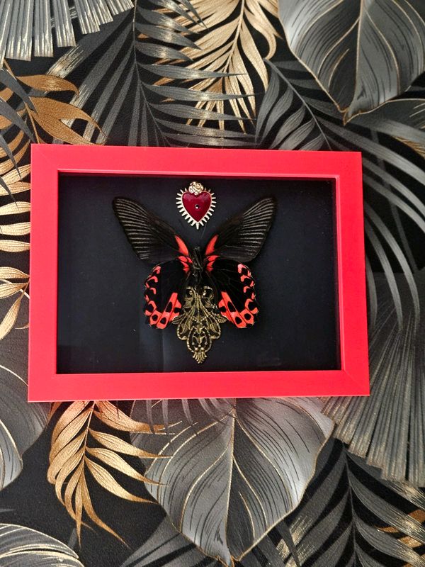 Rouge et noir bronze