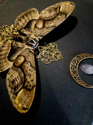 Brahmaea wallichii quartz rose