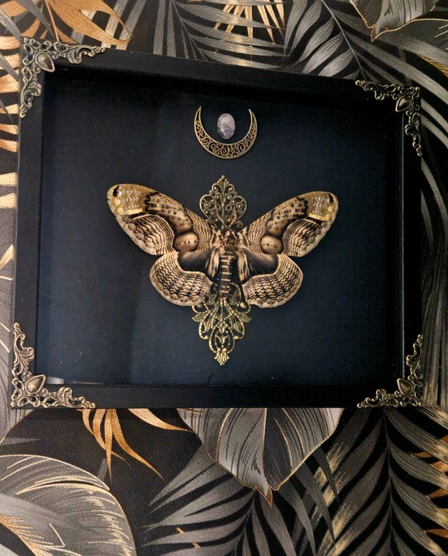 Brahmaea wallichii quartz rose