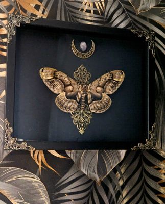 Brahmaea wallichii quartz rose