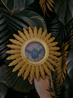 Cadre soleil abeille bleue