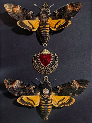 Couple sphinx tête de mort