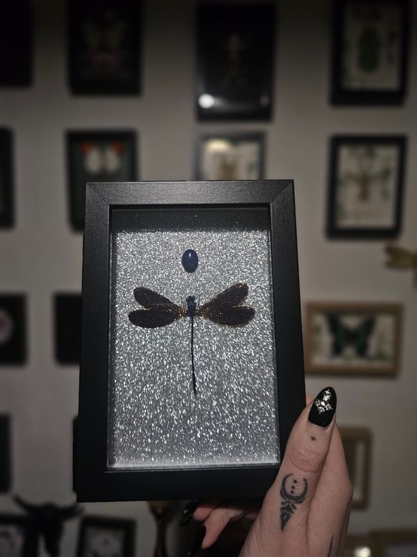 Libellule lapis lazuli &amp; paillette