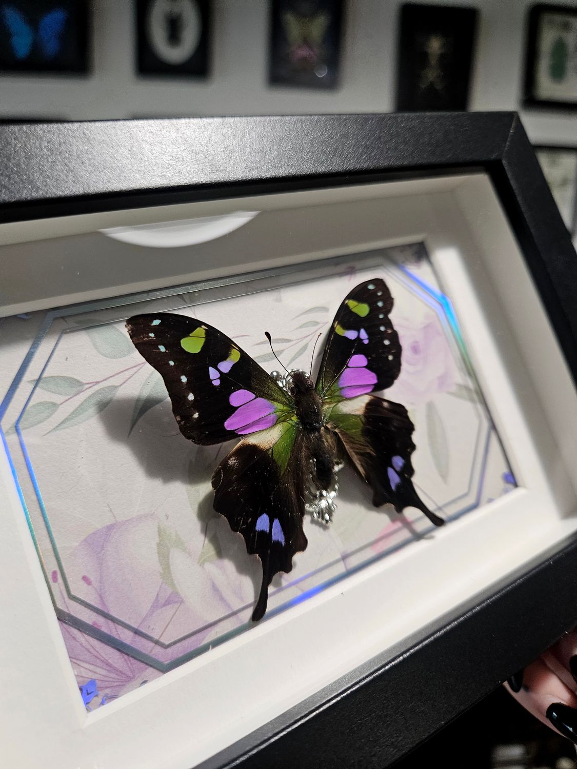 Weiskei holographique