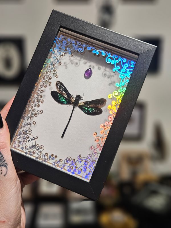 Libellule holographique&amp;améthyste