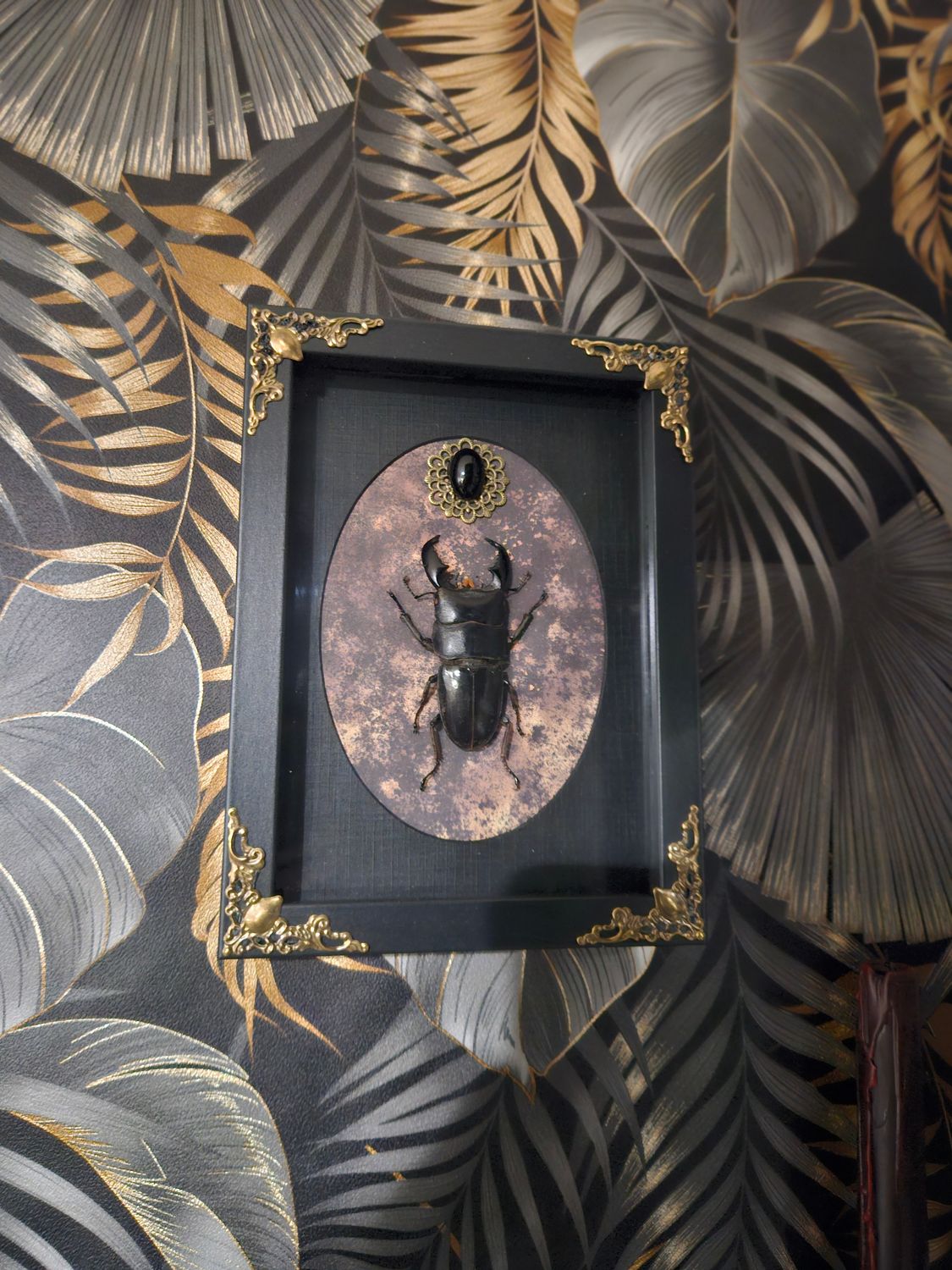 Lucane titanus&amp; obsidienne