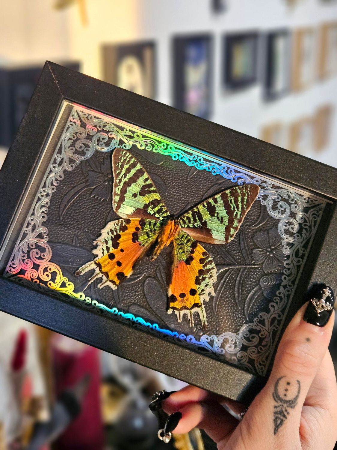 Sunset holographique