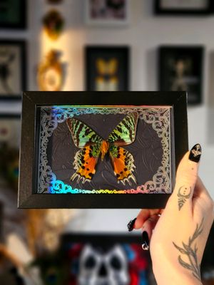 Sunset holographique