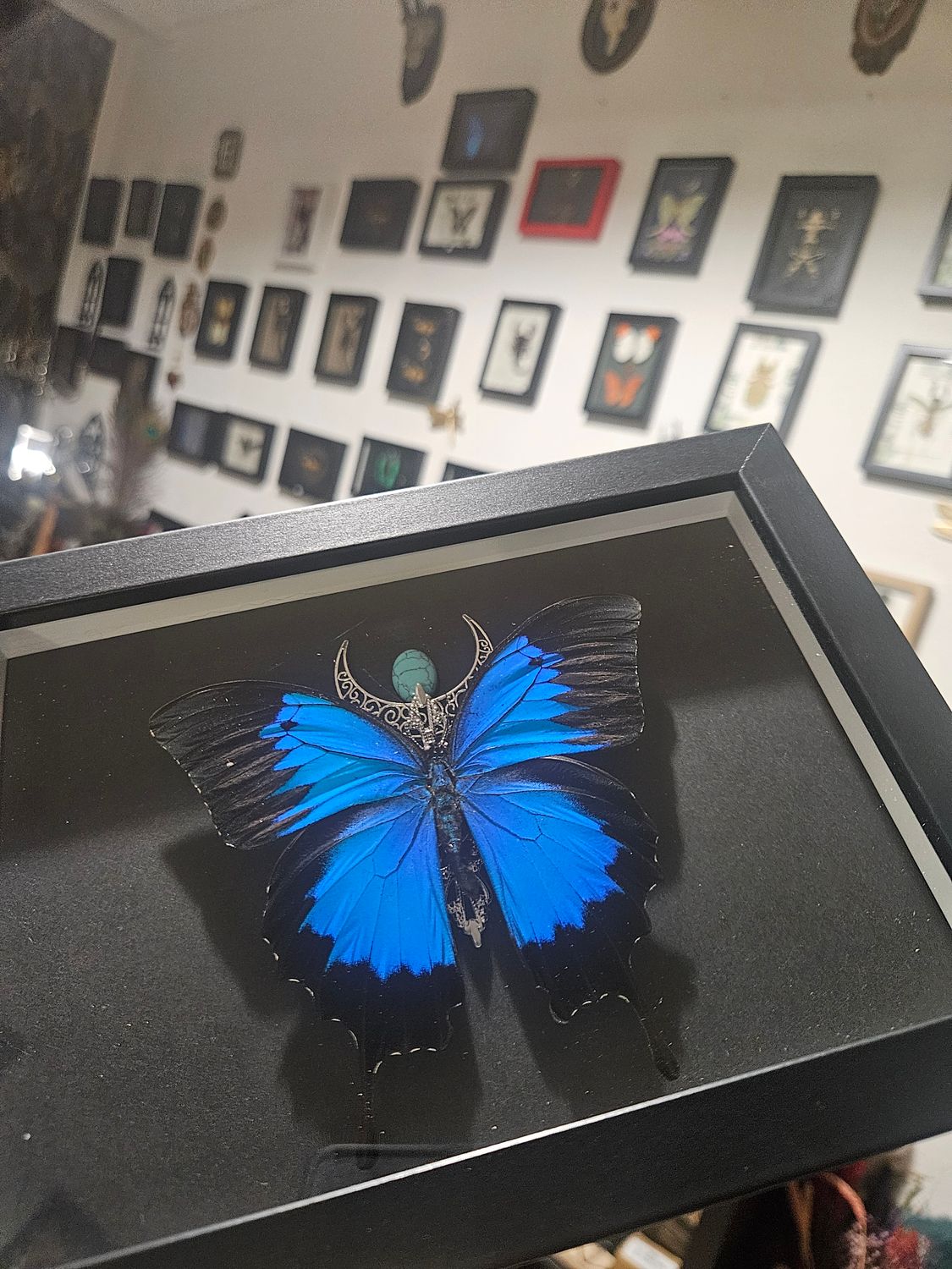 Ulysse lune &amp; pierre turquoise