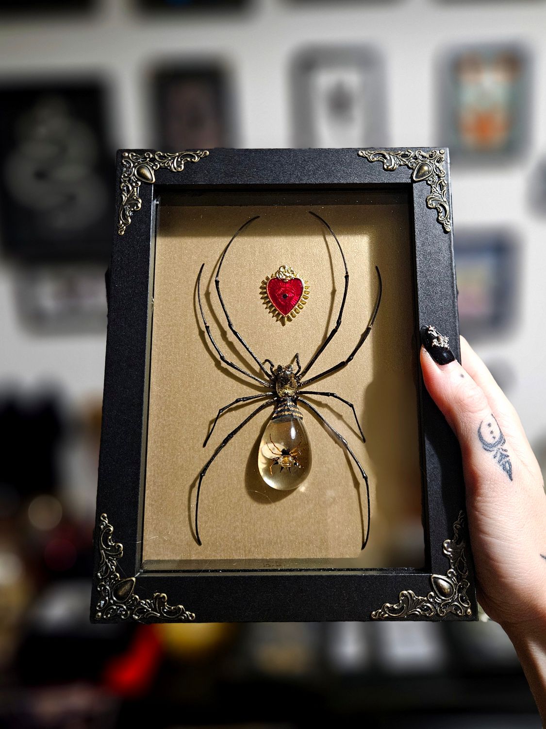 Crystal spider cœur sacré