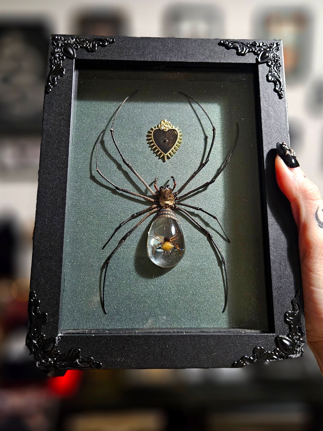 Crystal spider vert/gris