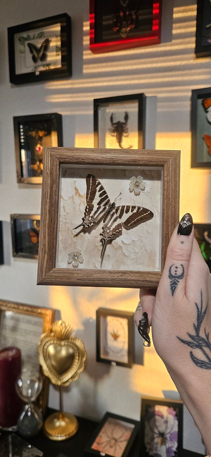 Mini cadres 35.-pièce